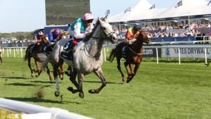 No Deposit Free Horseracing Bets